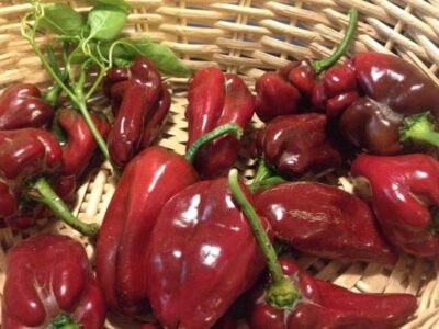 How To Make Ancho-Chili Powder Image